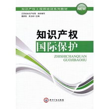 知识产权国际保护 全球化背景下的挑战与应对