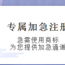 知识产权代理服务 石家庄品良的专业供应产品