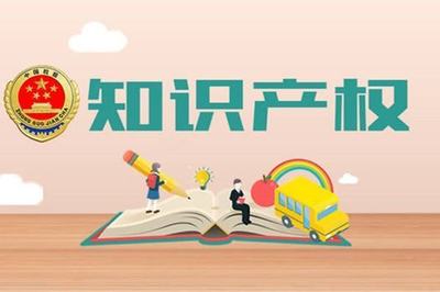 知识产权获得情况及其对产品服务的技术支撑作用